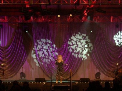 12 Corporate Event Speaker