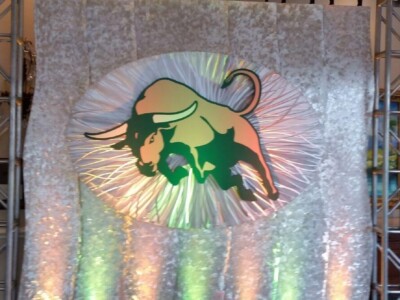 9 USF Bulls Sporting Events